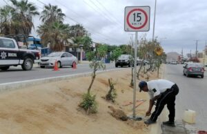 Tránsito Municipal instala señalización y rehabilita cruces peatonales en Los Cabos