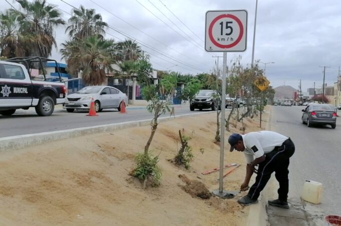 SEGURIDAD PÚBLICA SEÑALIZACIÓN REHABILITACIÓN CRUCES PEATONALES 3