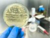 UNAM alerta: bacteria resistente a antibióticos está presente en animales, plantas y alimentos