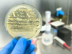 UNAM alerta: bacteria resistente a antibióticos está presente en animales, plantas y alimentos