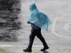 De aisladas a intensas: dos ondas tropicales provocarán lluvias en 31 estados este lunes