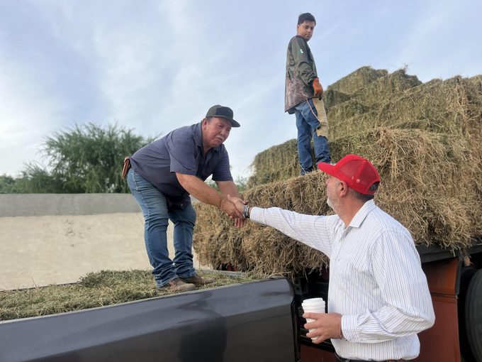 DESARROLLO RURAL ENTREGA ALFALFA 4