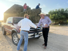 Ayuntamiento de Los Cabos fortalece al sector pecuario con entrega de alfalfa a bajo costo en La Ribera