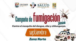 Fumigación contra el dengue llegará este jueves y viernes a La Ribera, El Campamento y Santa Cruz