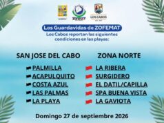 ZOFEMAT Los Cabos informa sobre condiciones de las playas y refuerza medidas preventivas