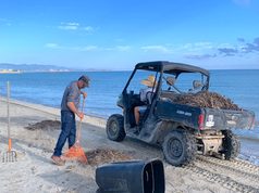 Refuerzan limpieza y recolección de residuos en playas de La Ribera