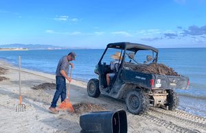 Refuerzan limpieza y recolección de residuos en playas de La Ribera