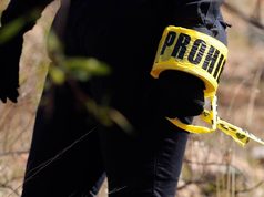 Fiscalía de Michoacán no tiene registro de mil 600 dientes de leche hallados en fosa clandestina de Zacapu
