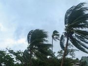 CNPC pide reforzar medidas de protección ante tormenta tropical Marie