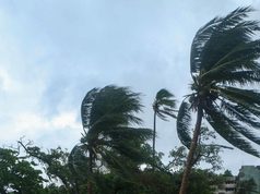 CNPC pide reforzar medidas de protección ante tormenta tropical Marie