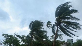 CNPC pide reforzar medidas de protección ante tormenta tropical Marie