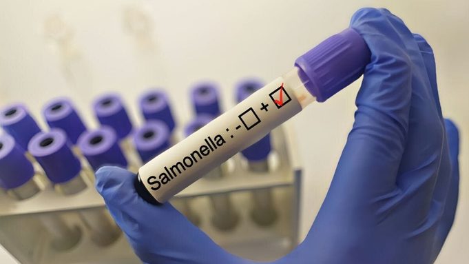 salmonela-retiros-022611