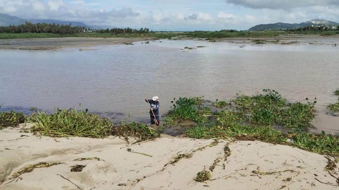 ECOLOGÍA LIMPIEZA ESTERO SJC 5