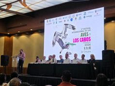 Inauguran Segundo Festival Internacional de las Aves de Los Cabos 2026