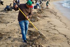 Realizan jornada de limpieza y concientización en zona costera de Cabo San Lucas tras lluvias