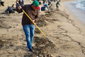 Realizan jornada de limpieza y concientización en zona costera de Cabo San Lucas tras lluvias