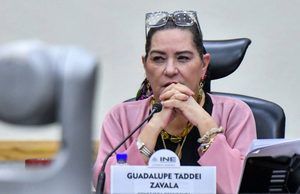 Taddei presenta su renuncia al INE ante la Cámara de Diputados